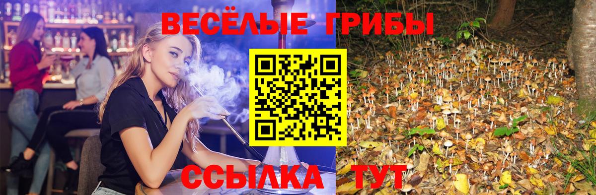 Галлюциногенные грибы Psilocybine cubensis Подольск